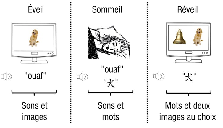 Hypnopédie : peut-on apprendre l'espagnol en dormant ? 10 file 20220713 9357 7799by.jpg?ixlib=rb 1.1